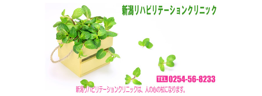 新潟リハビリテーションクリニック